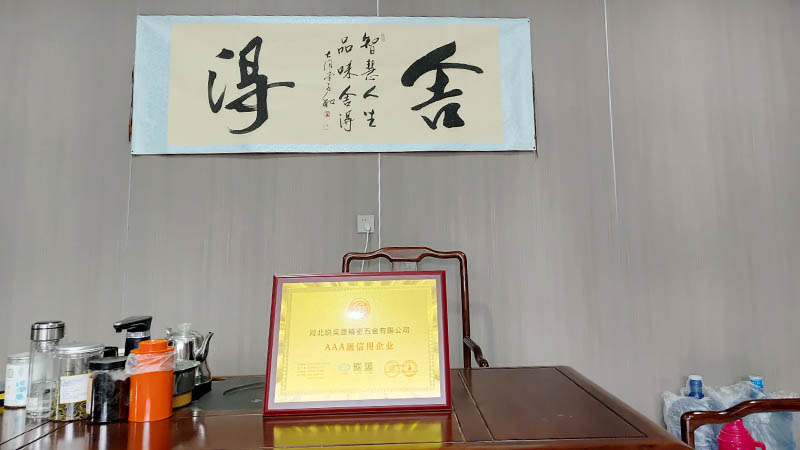 Hebei Ruiyisheng Precision Hardware Co., Ltd.